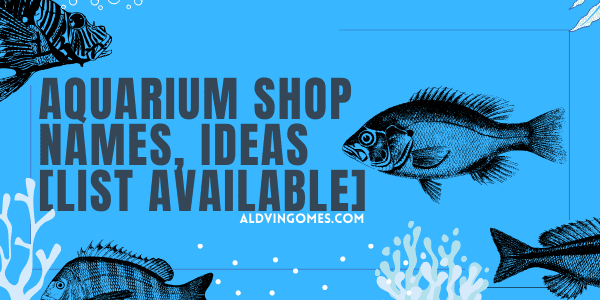 Aquarium Shop Name Ideas