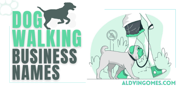 100+ Catchy Dog Walking Business Names Ideas You Can’t-Miss