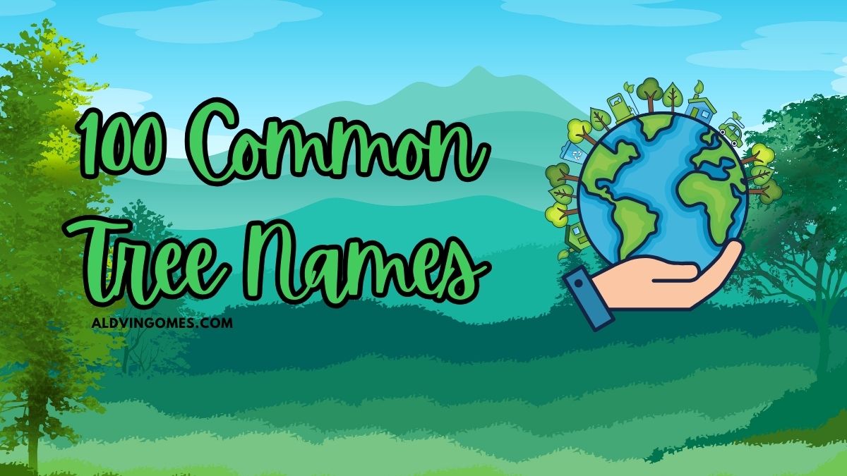 100 Common Tree Names: A Journey into Nature’s Abundance